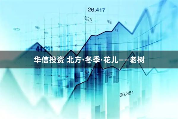 华信投资 北方·冬季·花儿——老树