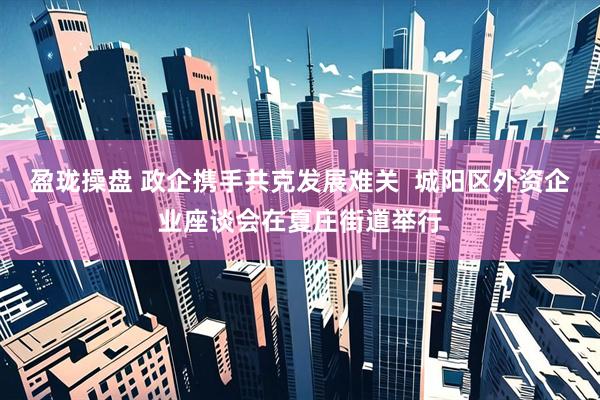 盈珑操盘 政企携手共克发展难关  城阳区外资企业座谈会在夏庄街道举行