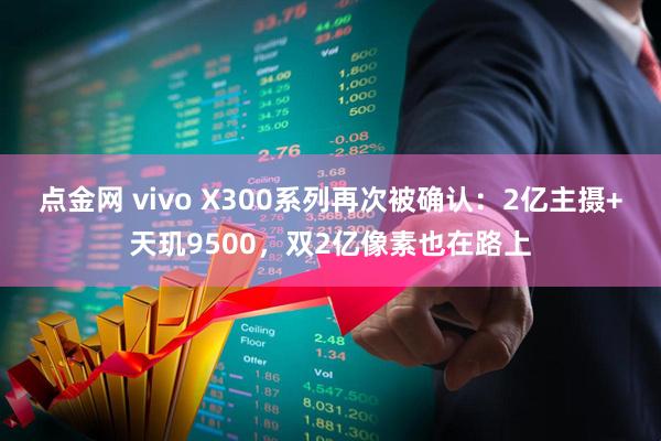 点金网 vivo X300系列再次被确认：2亿主摄+天玑9500，双2亿像素也在路上