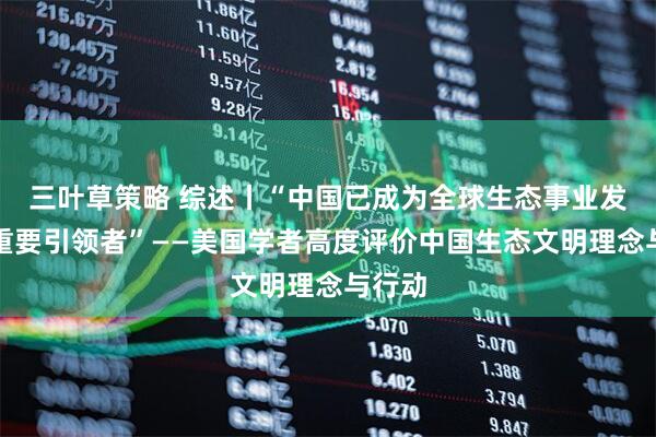 三叶草策略 综述丨“中国已成为全球生态事业发展的重要引领者”——美国学者高度评价中国生态文明理念与行动