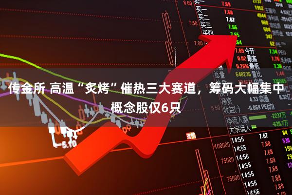 传金所 高温“炙烤”催热三大赛道，筹码大幅集中概念股仅6只