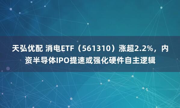 天弘优配 消电ETF（561310）涨超2.2%，内资半导体IPO提速或强化硬件自主逻辑