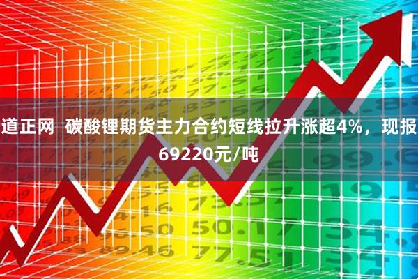 道正网  碳酸锂期货主力合约短线拉升涨超4%，现报69220元/吨