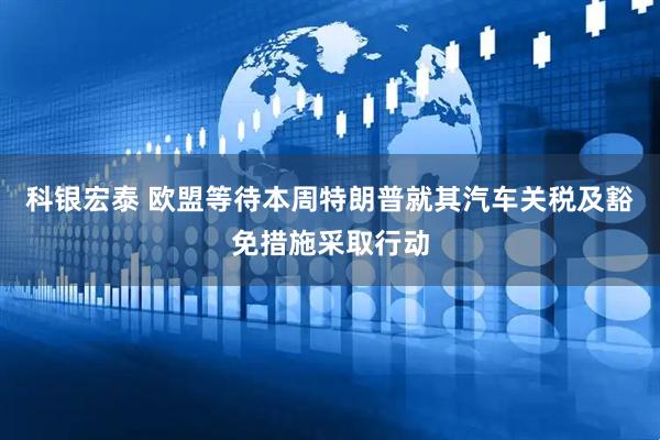 科银宏泰 欧盟等待本周特朗普就其汽车关税及豁免措施采取行动