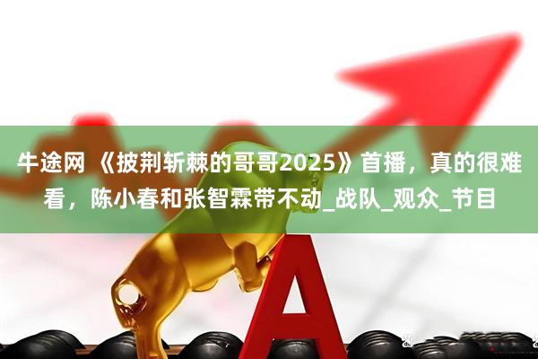 牛途网 《披荆斩棘的哥哥2025》首播，真的很难看，陈小春和张智霖带不动_战队_观众_节目