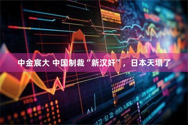 中金宸大 中国制裁“新汉奸”，日本天塌了