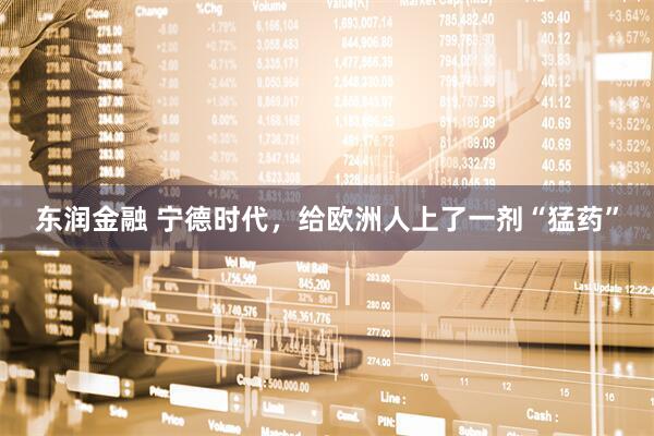 东润金融 宁德时代，给欧洲人上了一剂“猛药”
