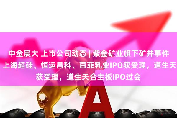 中金宸大 上市公司动态 | 紫金矿业旗下矿井事件将影响净利润，上海超硅、恒运昌科、百菲乳业IPO获受理，道生天合主板IPO过会
