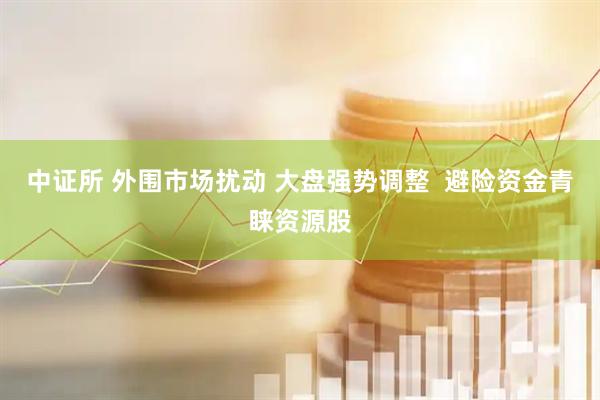 中证所 外围市场扰动 大盘强势调整  避险资金青睐资源股