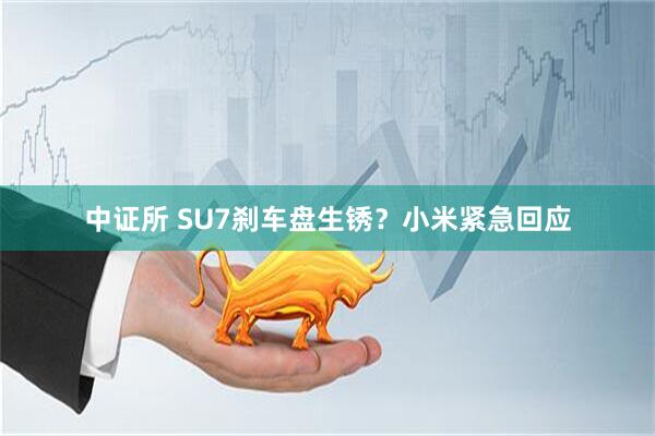 中证所 SU7刹车盘生锈？小米紧急回应