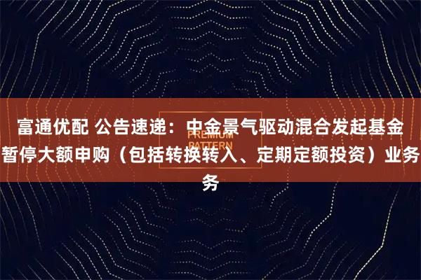 富通优配 公告速递:中金景气驱动混合发起基金暂停大额申购(包括转换转入、定期定额投资)业务
