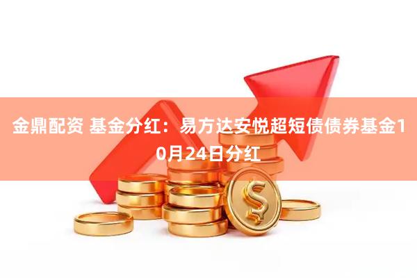 金鼎配资 基金分红:易方达安悦超短债债券基金10月24日分红