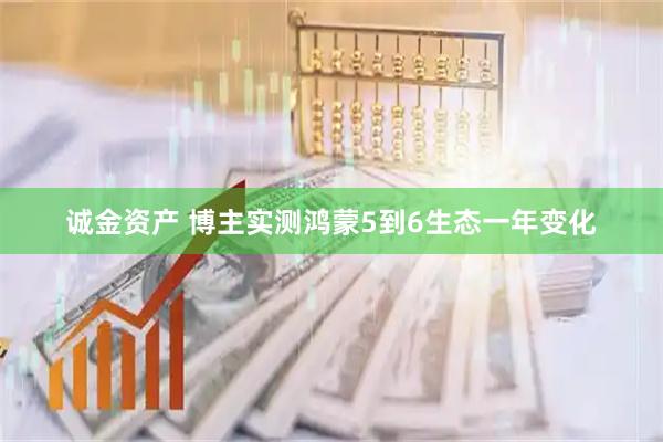 诚金资产 博主实测鸿蒙5到6生态一年变化