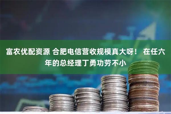 富农优配资源 合肥电信营收规模真大呀！ 在任六年的总经理丁勇功劳不小